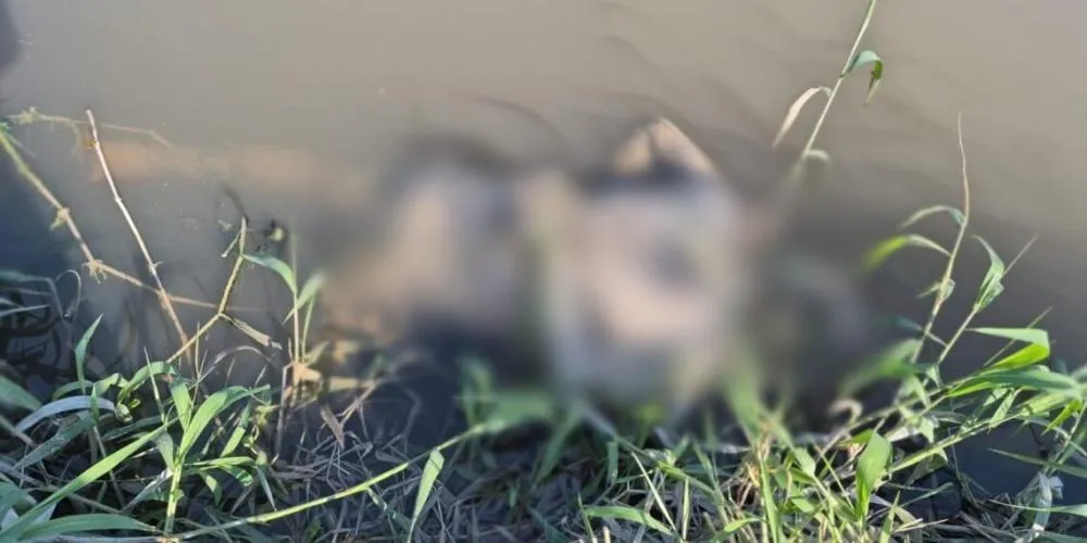 Corpo é encontrado às margens de igarapé na zona Norte de Manaus