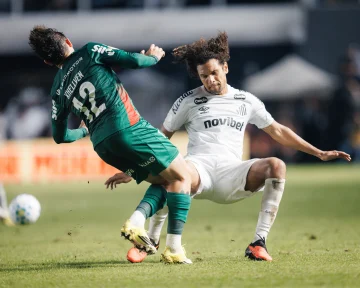 Santos x Palmeiras: veja onde assistir ao jogo pela 33ª rodada do Brasileirão